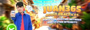 juan365 audit practices platform auditing methods and system integrity